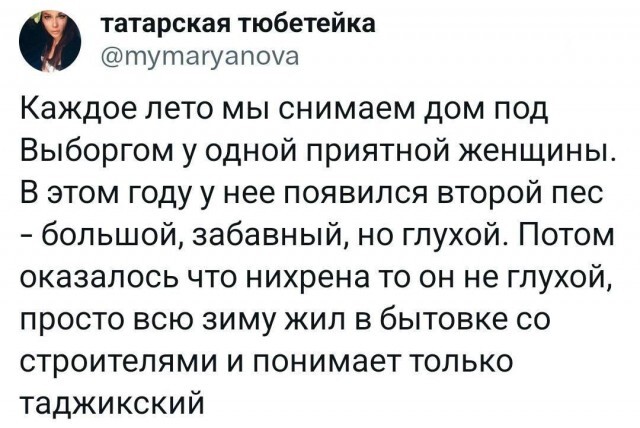 Эщельбе шайтанама гав-гав!