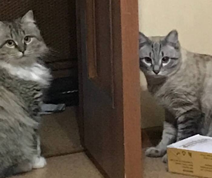 ��� ��� ����� ������ ������ 