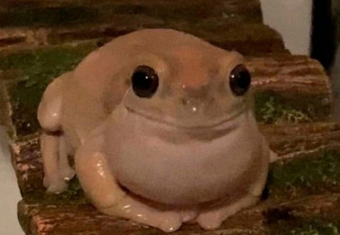  ! , , , It Is Wednesday My Dudes