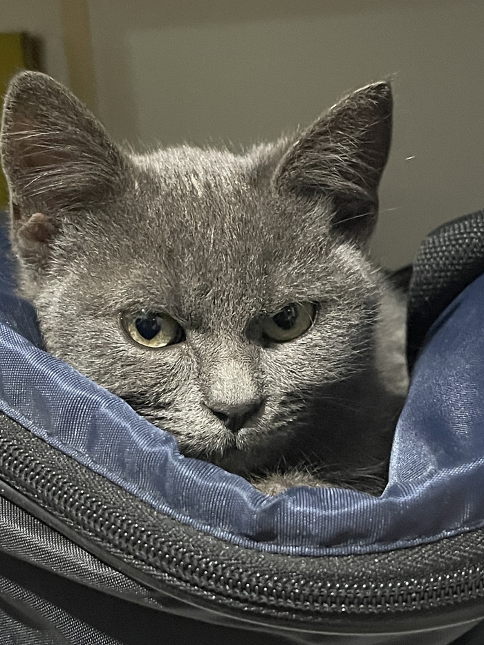 ��� ����?�