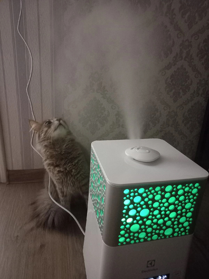 Хозяин, что это за шайтан-машина???