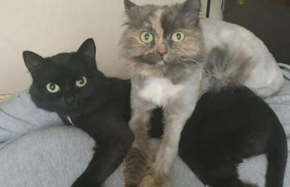 ��� ������� �� ����� ����� �����. ��� ������������������)