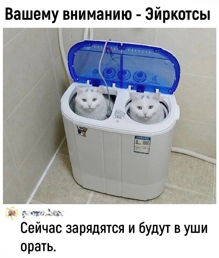  ,   , ,  , 