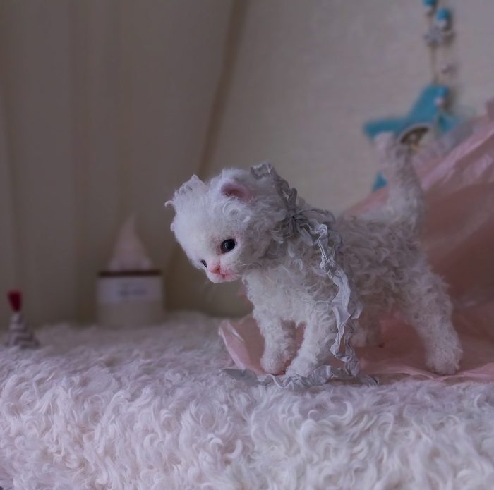 Милый котенок.