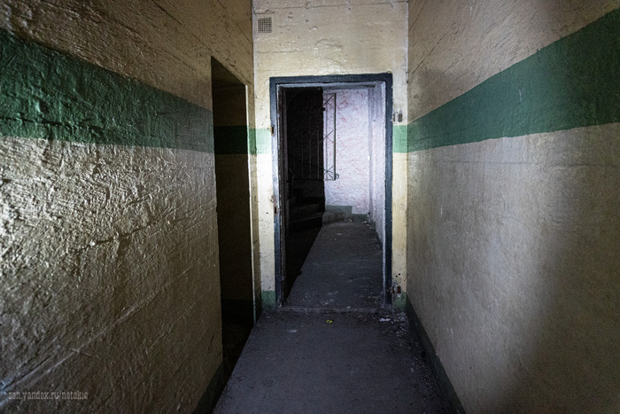 �������� �����������