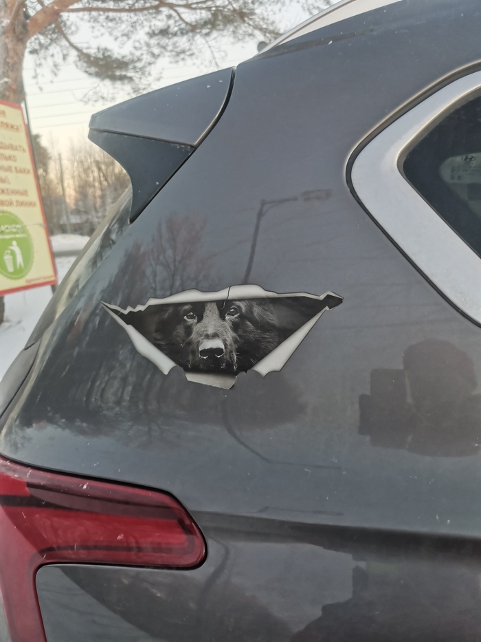 ����� ����� ������ ��������������