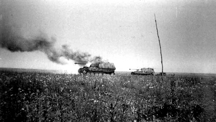 Пара Фердинандов. Стоит. Дымит