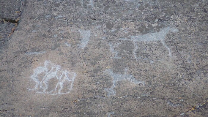 ��� ����� ���������� ���������� �����: petrify