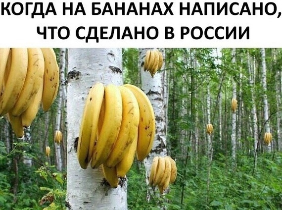 ����� ������ ������� � ������