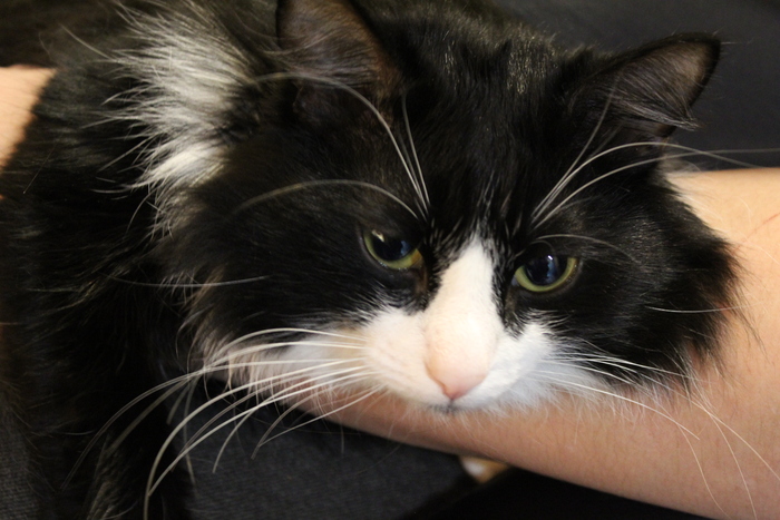 ����� ���� ��� ����� ����� �� ����� ������.