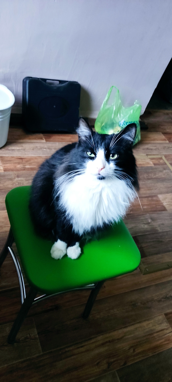 ���� ������ ���� � �.