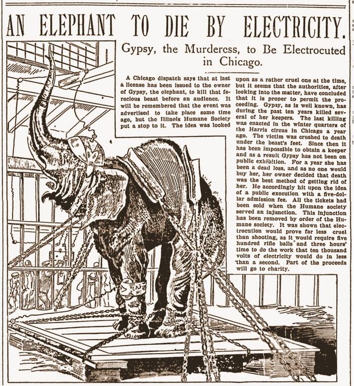 Казнь слона при помощи переменного тока