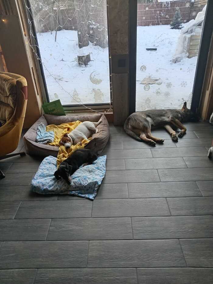 ���������, ������� ����.... �� ����� ������ ���, ������� ��� ������ ��� ��������� ������ - ��� ������� � ����������.