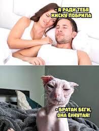    ? ,   