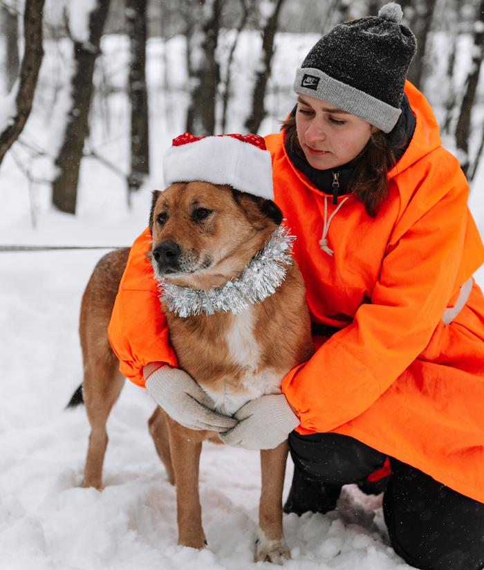 ����� ���, �� ������� ��� ���� ����� �����. �� ������������ ���������� �������� �����. 