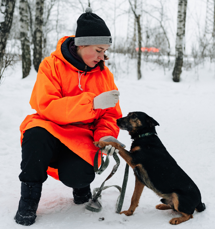 �� ���� ����� ���������� ������������ � ����������� ���� � ��������� ���� �����. ���������, ��� ������ � ��� ���� ������� � ��������� �������. �� ����� � ��� ����� ����� �������� �������. ����� ���� ���� ������� � ��� ��� �������� �������. 