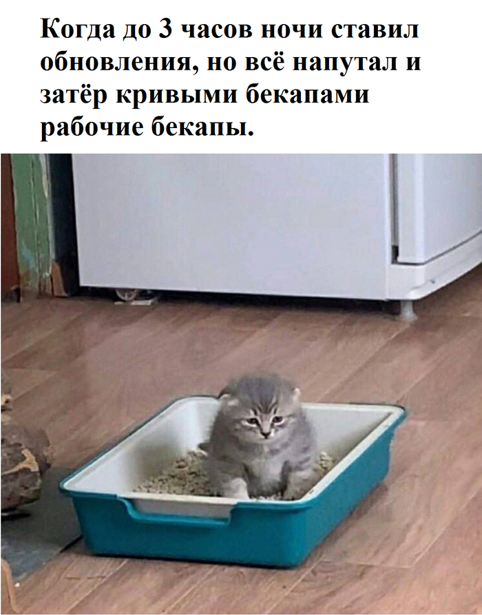 -������ ������ �����? - ���� ��� ������ ����� �����