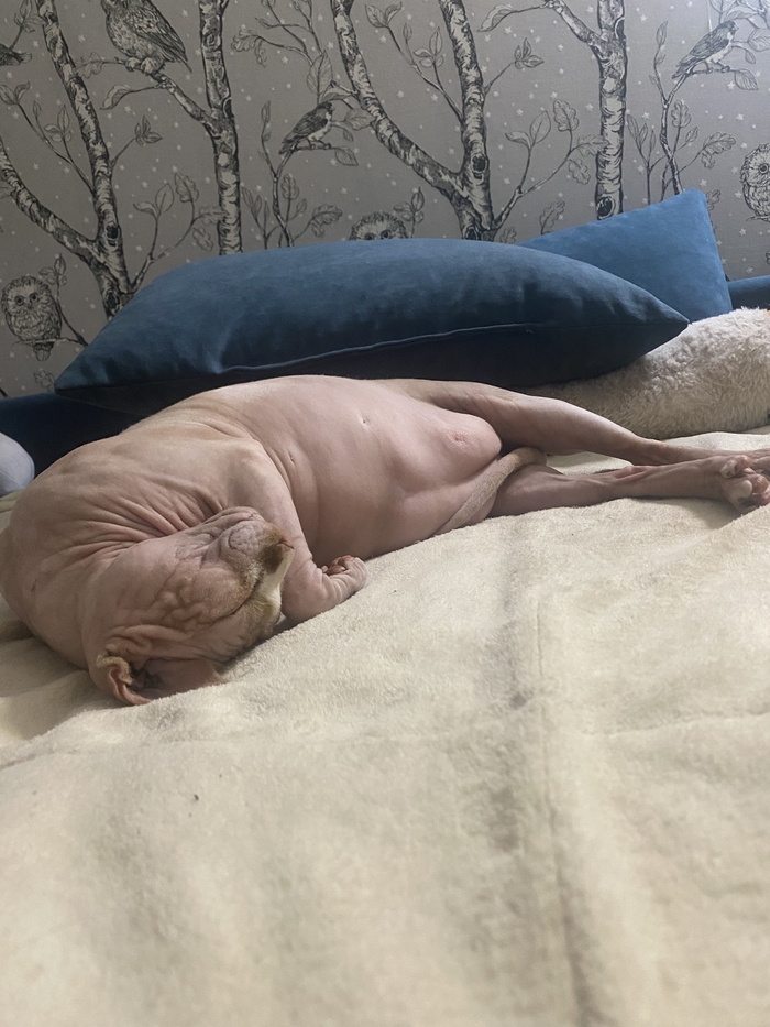 ������� � ������� ������� ���