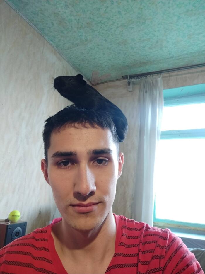 Найди 10 отличий