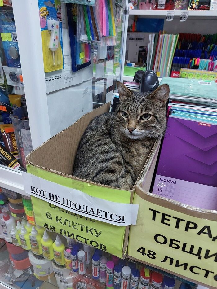 Не все продается