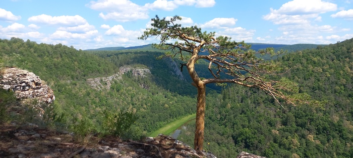         ,    150       ,    .