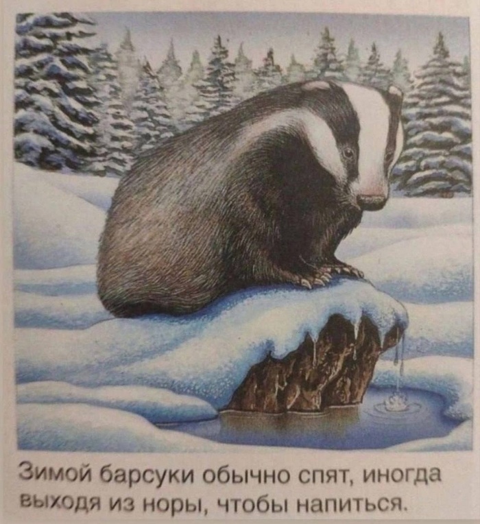   ,      , , ,   