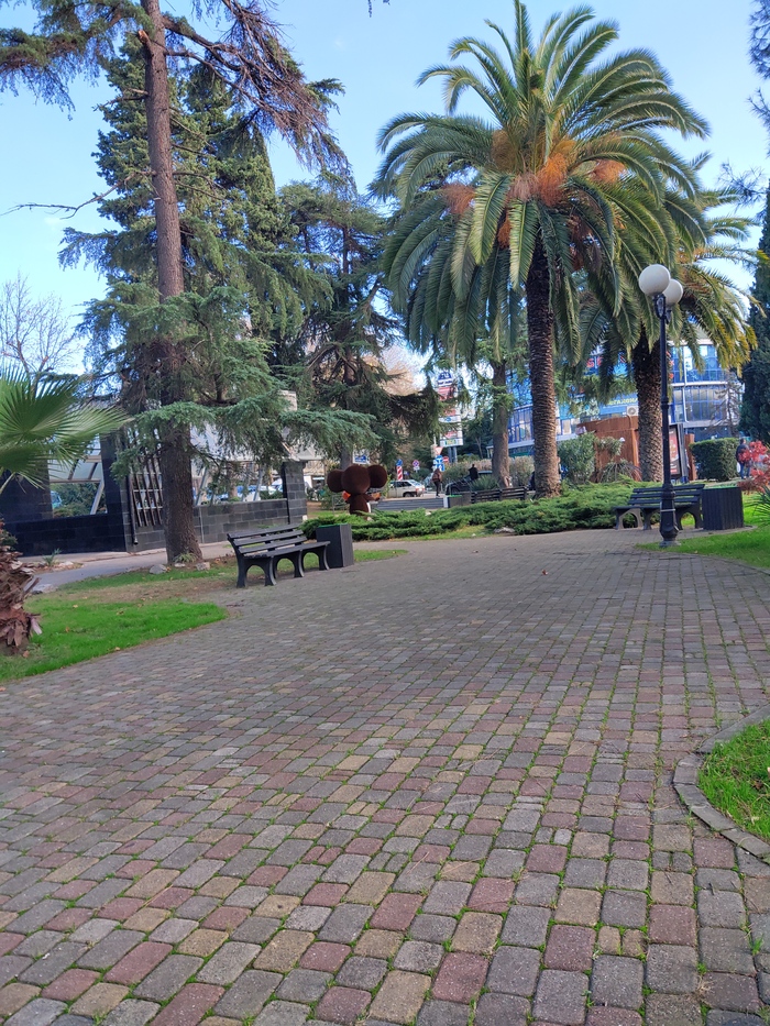 Прохожих и отдыхающих в сквере почти нет — все предпочитают сидеть в тепле, а не на улице.