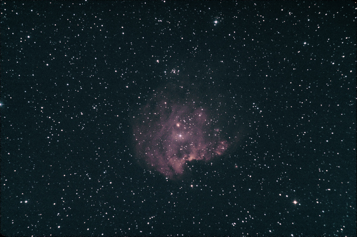 NGC 2175   , , ,  