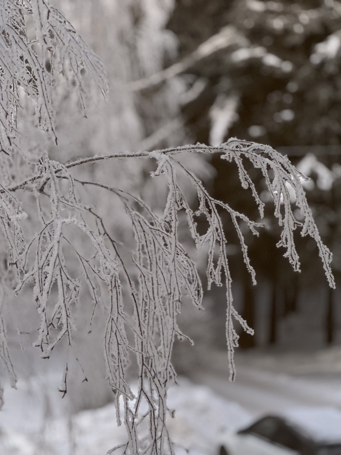 Нет ничего постоянного