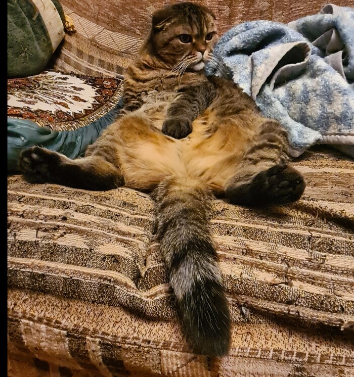    ? , ,  