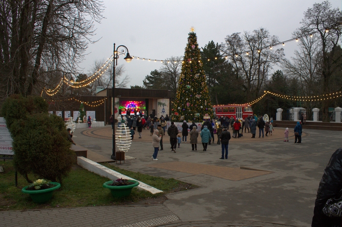 �� ������ ����� �������� ������������� ������� �������� � ���� ������� Tatra t3 ������������ ������������, ���� �����.