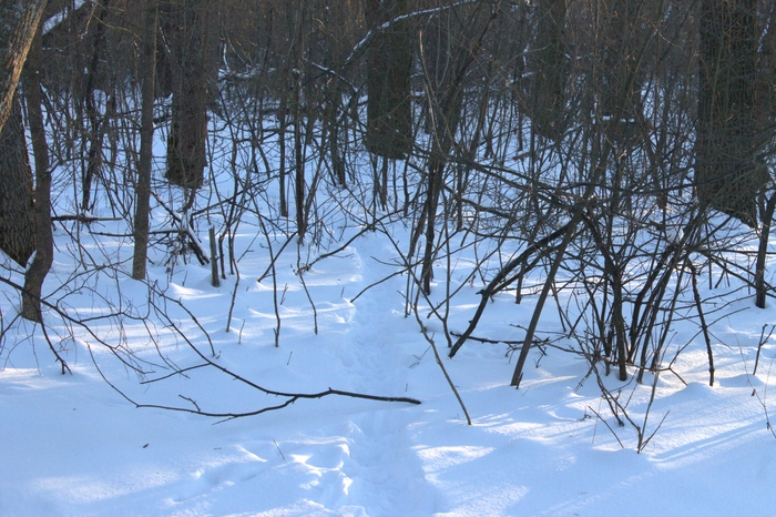 �������� �����