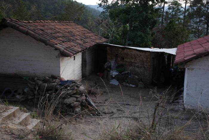 ������ � ���������