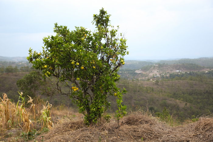 ������������ ������ �� ������