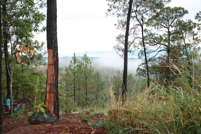 ����� ������� ��� �������, ����� �� ������� ������ ���� ��� ������������� ����