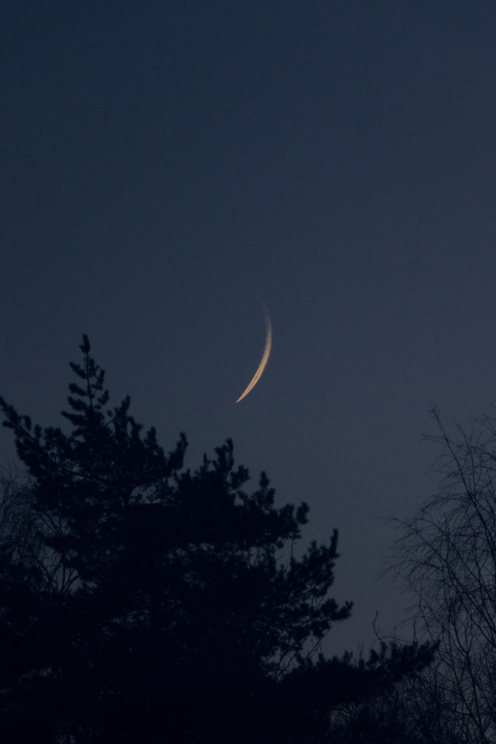 Минимализм