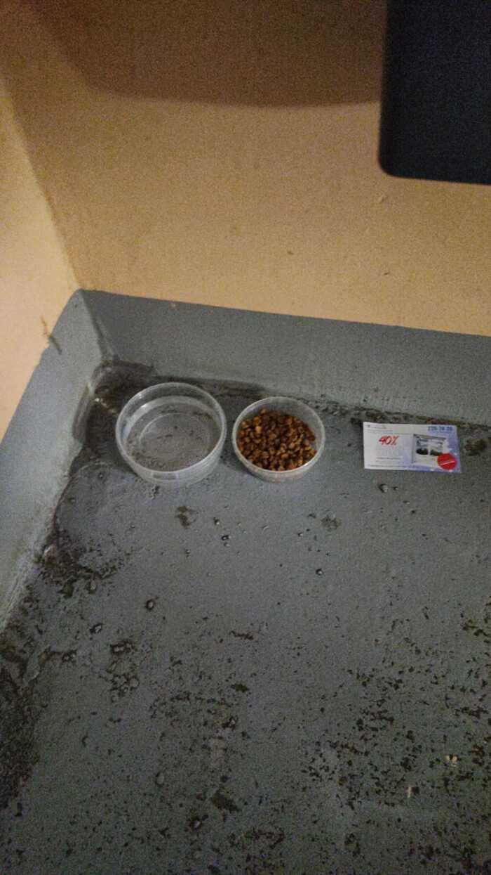 ��� ������