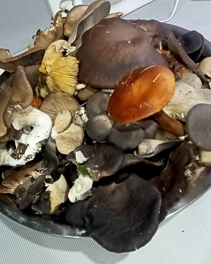 ����� ������� � ��������� �����