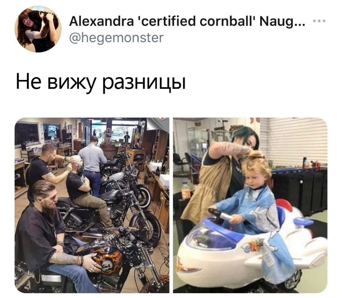  , , X (Twitter), , , Telegram ()