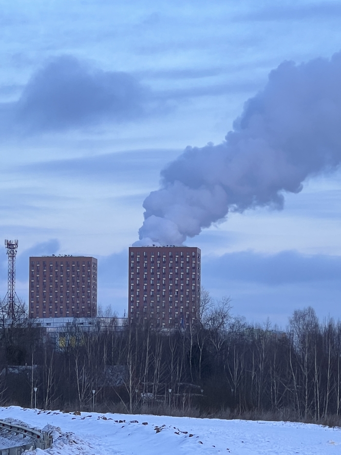 Теплый дом…