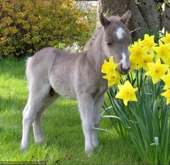 <!--noindex--><a href="https://pikabu.ru/story/krasivoe_11026582?u=https%3A%2F%2Ft.me%2Fhorselov%2F9708&t=https%3A%2F%2Ft.me%2Fhorselov%2F9708&h=3c8991c6a2f4a573f321858dae07315b3a489cae" title="https://t.me/horselov/9708" target="_blank" rel="nofollow noopener">https://t.me/horselov/9708</a><!--/noindex-->