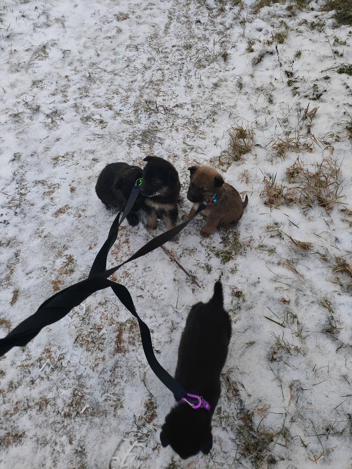 �� ���� �� �� ����, �� ������� ����. ����, ���� � ���� �������� �� ���� �����, �������� ����-�� �����. �� ������ ���� ����, �� ��� ���-��...