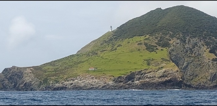       ,    ))    ,        .