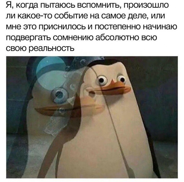 ������ ���