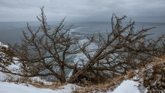 ��������� �. ������ 