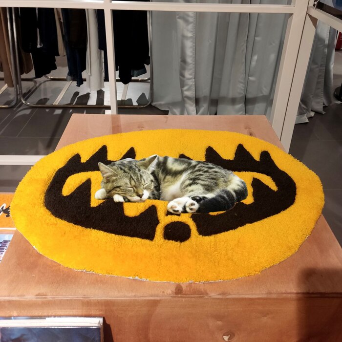 Капкан с котом!