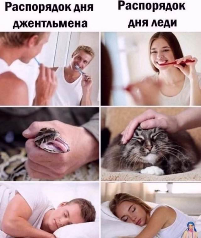 ������� ����