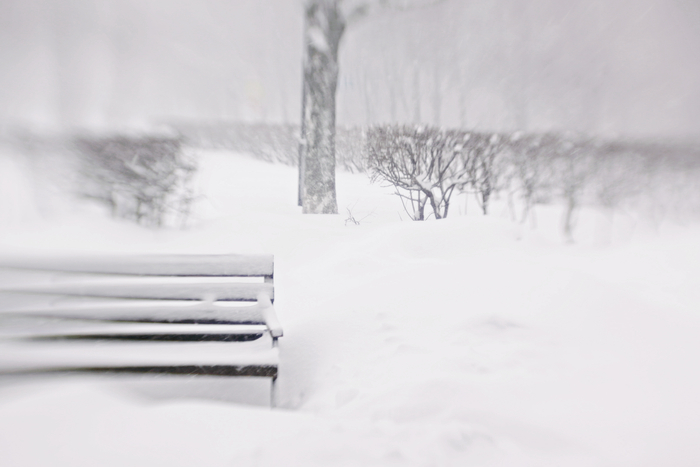 Canon 50D, Lensbaby Control Freak.