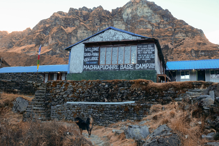 Базовый лагерь Мачапучаре, 3700м