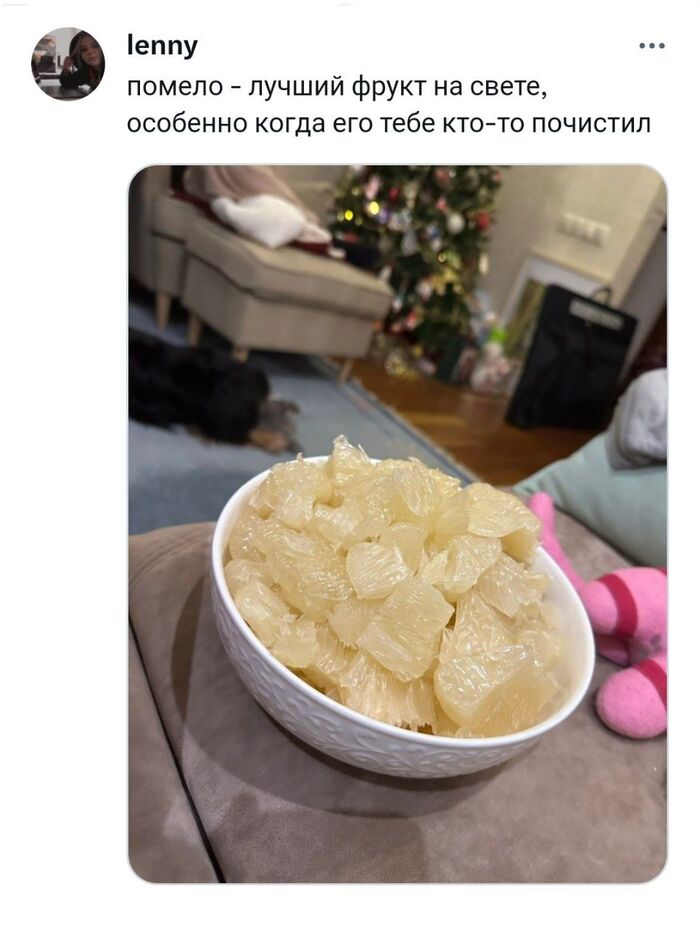      X (Twitter), , , , , Telegram ()